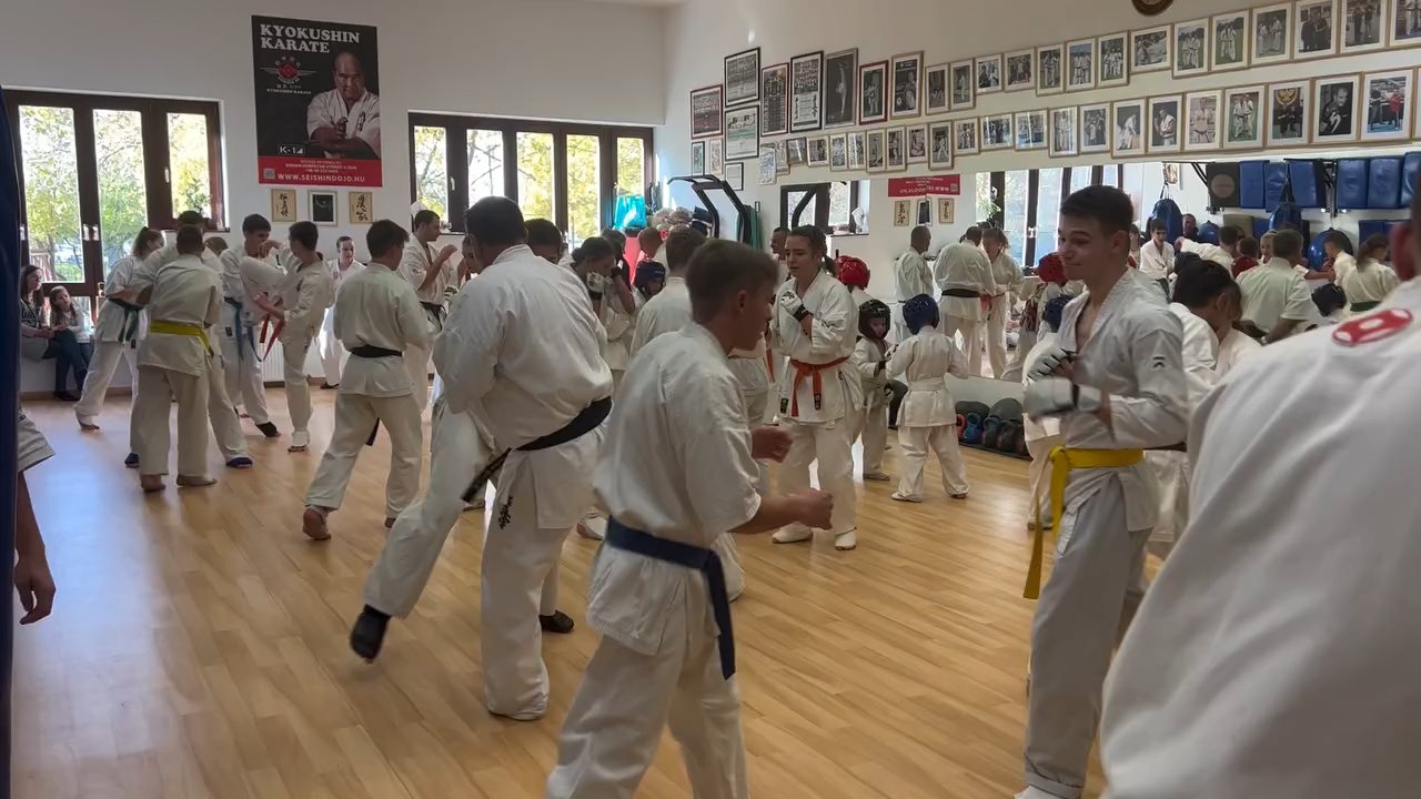 Fighting training at the Seishin Dojo 🥋⛩