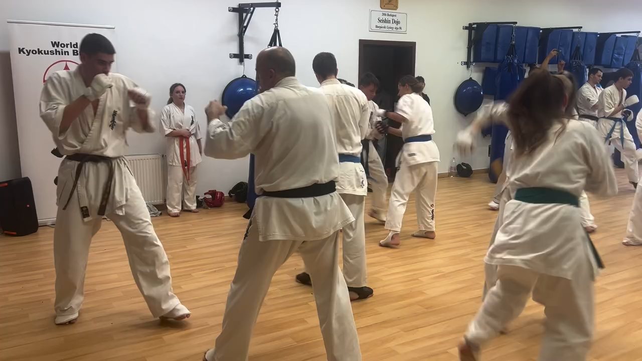 Fighting training at the Seishin Dojo 🥋⛩