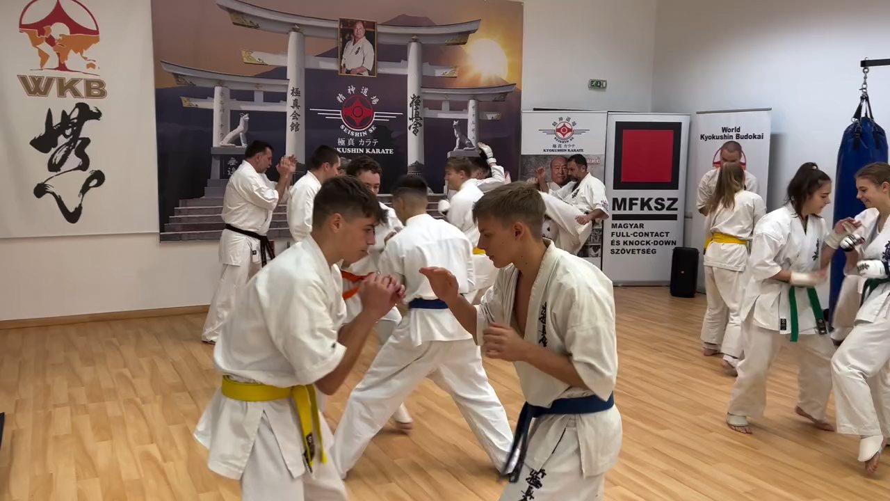 Fighting training at the Seishin Dojo 🥋⛩