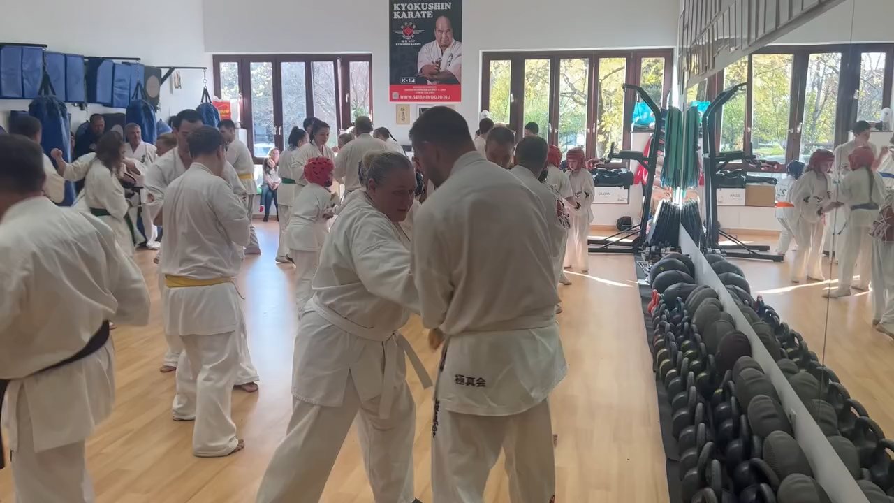 Fighting training at the Seishin Dojo 🥋⛩