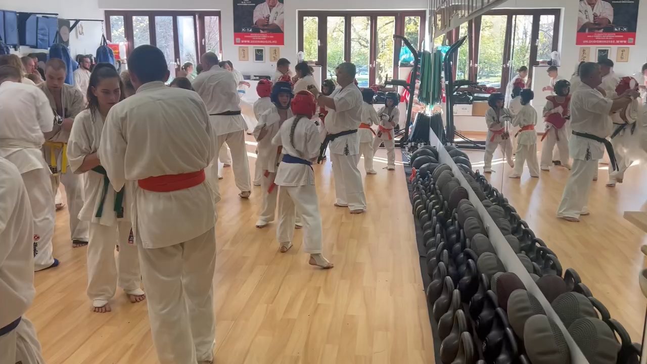 Fighting training at the Seishin Dojo 🥋⛩