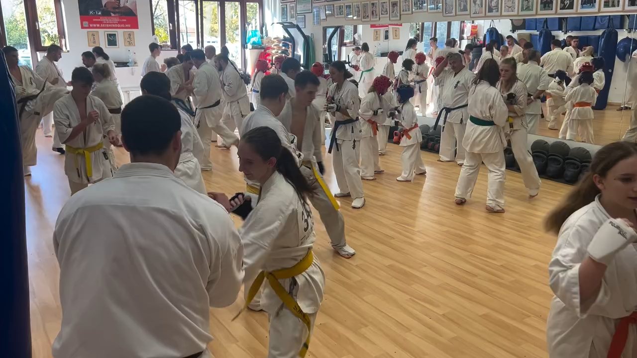Fighting training at the Seishin Dojo 🥋⛩