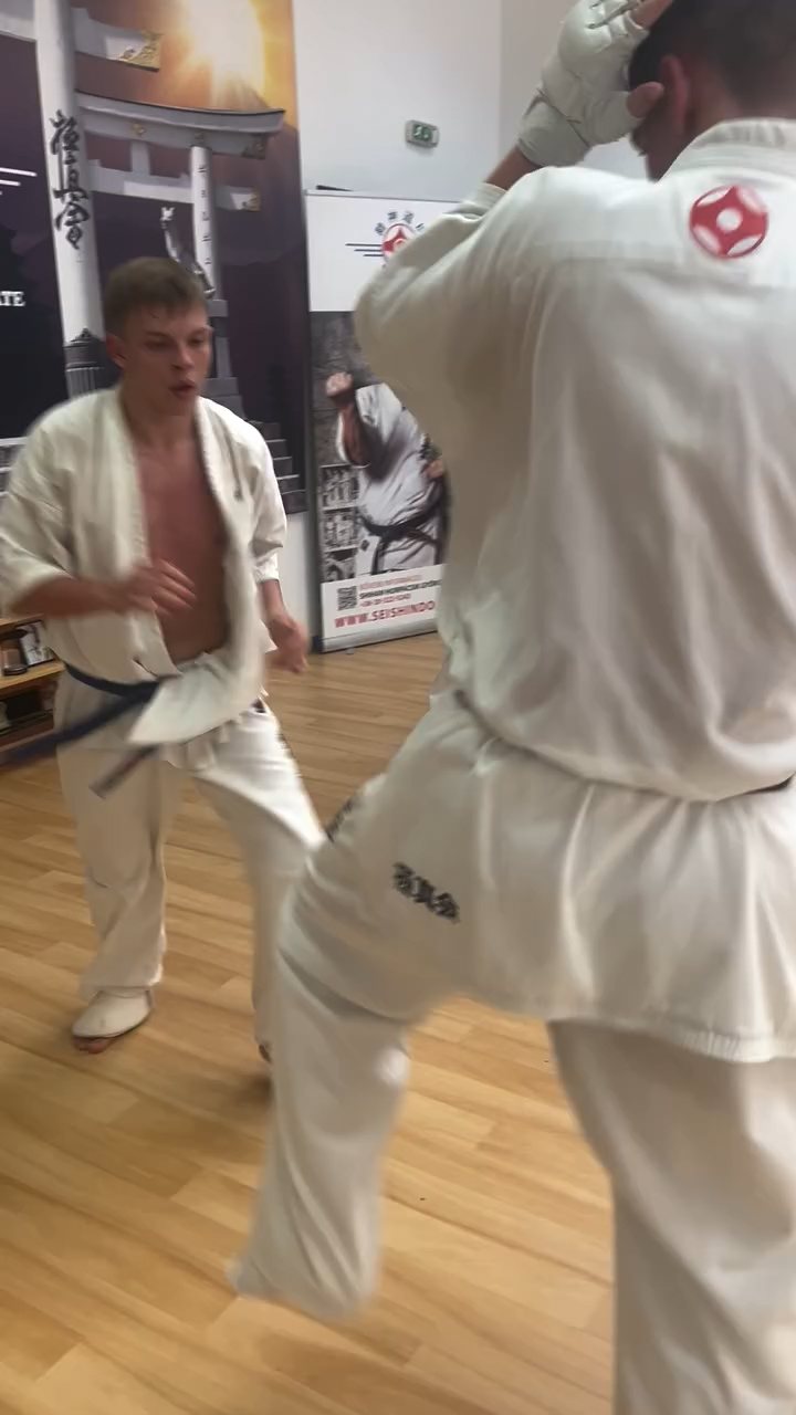 Fighting training at the Seishin Dojo 🥋⛩