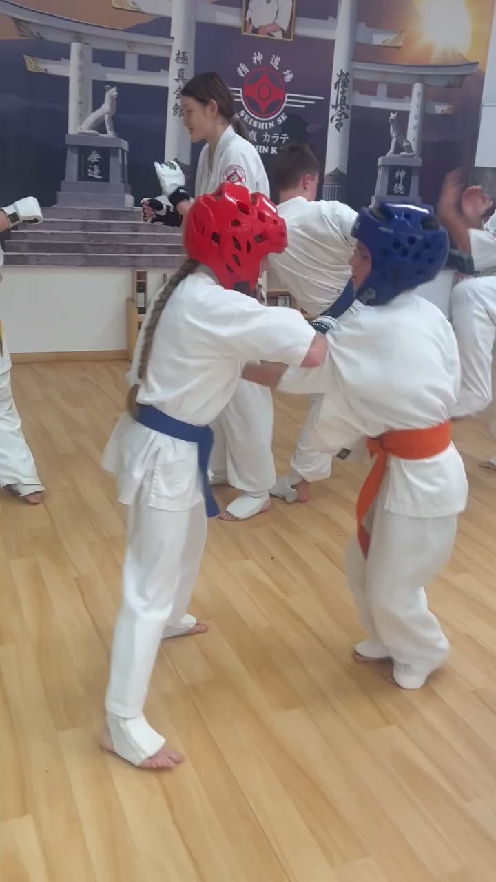 Fighting training at the Seishin Dojo 🥋⛩
