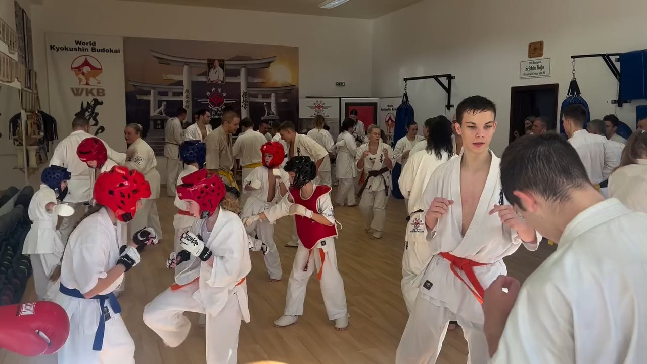Fighting training at the Seishin Dojo 🥋⛩