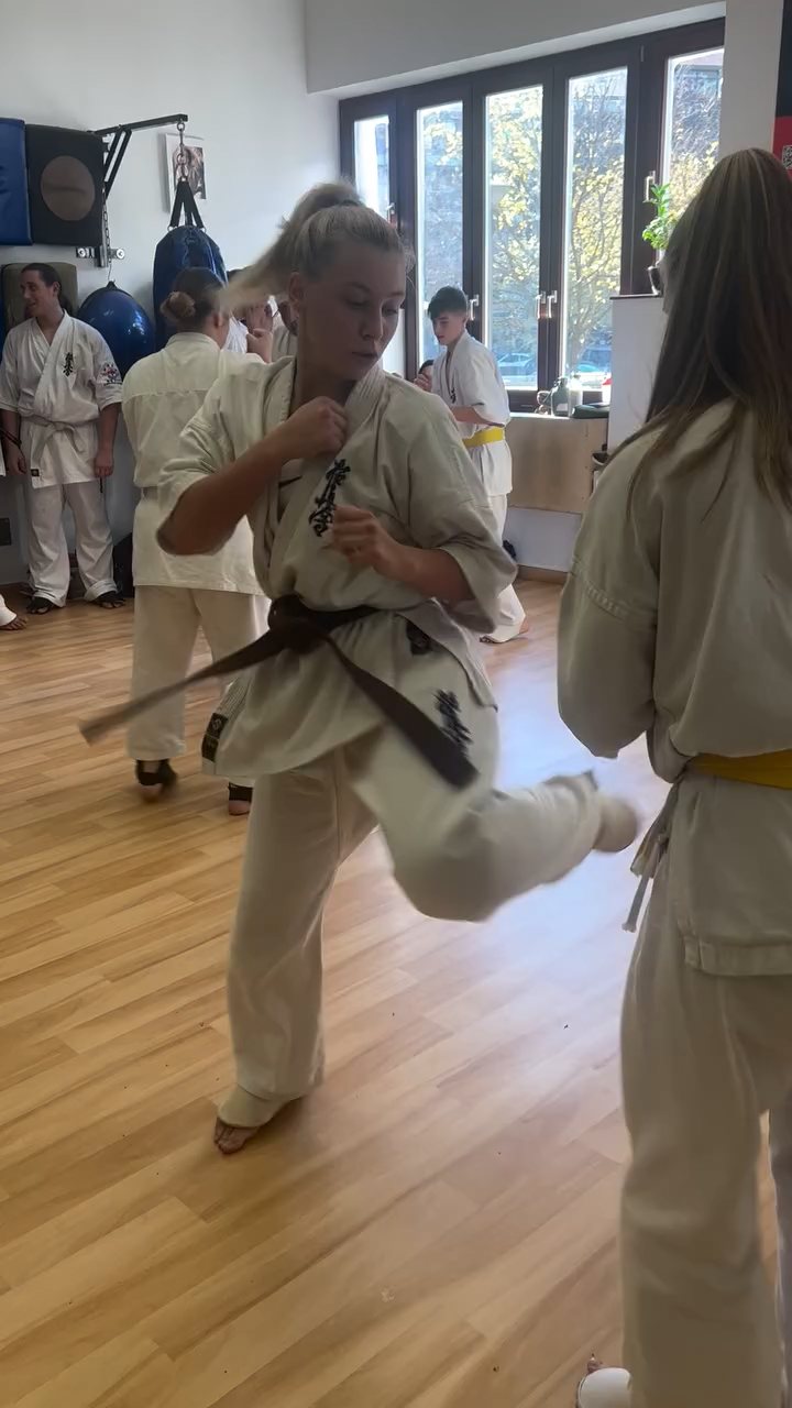 Fighting training at the Seishin Dojo 🥋⛩