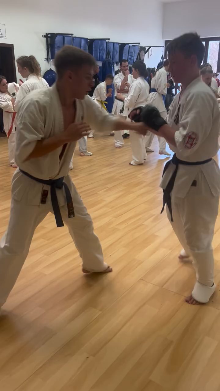 Fighting training at the Seishin Dojo 🥋⛩