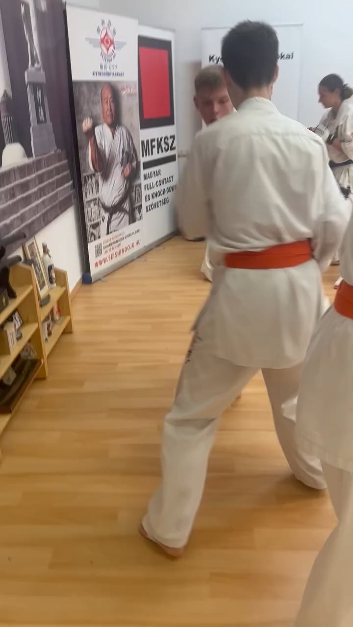Fighting training at the Seishin Dojo 🥋⛩