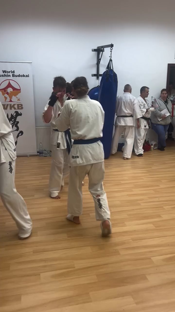 Fighting training at the Seishin Dojo 🥋⛩