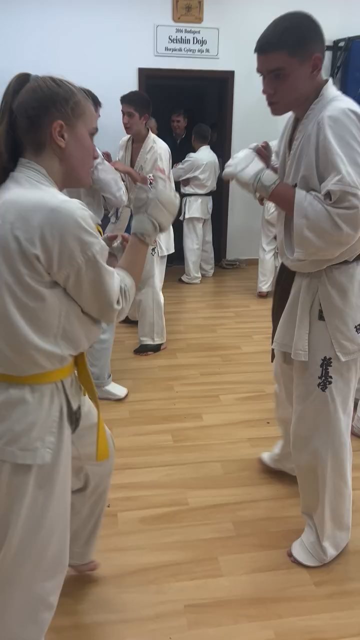 Fighting training at the Seishin Dojo 🥋⛩