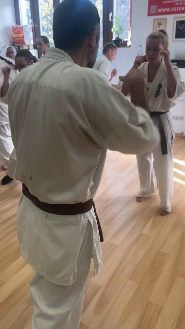 Fighting training at the Seishin Dojo 🥋⛩