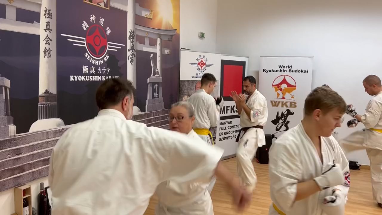 Fighting training at the Seishin Dojo 🥋⛩