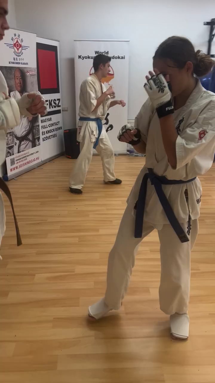 Fighting training at the Seishin Dojo 🥋⛩