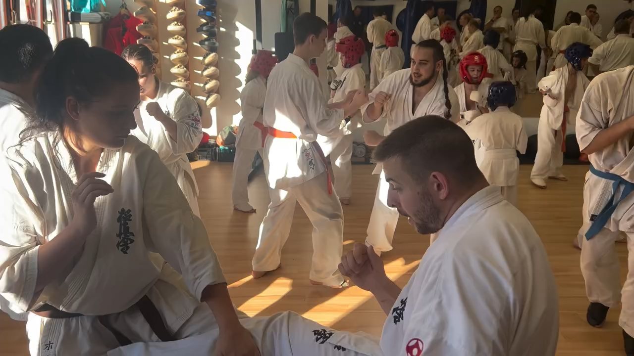 Fighting training at the Seishin Dojo 🥋⛩