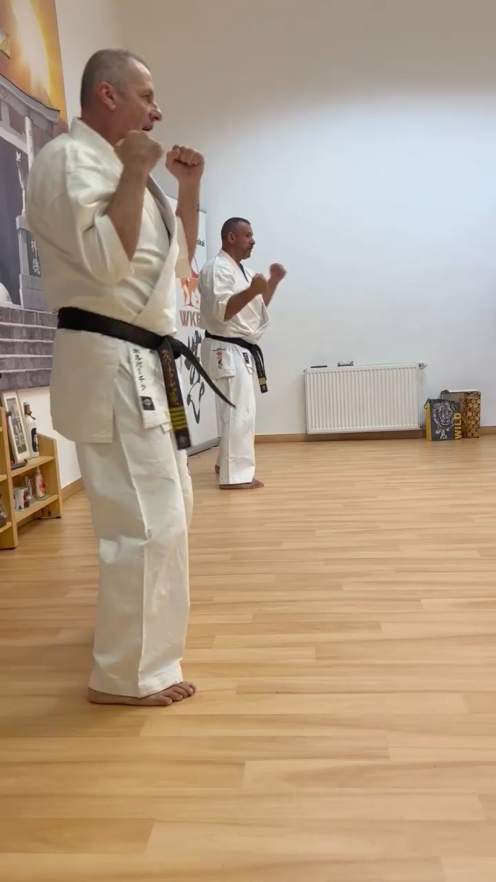 Seishin Dojo 十五 (15.) szülinapi ünneplés 🎂🥂