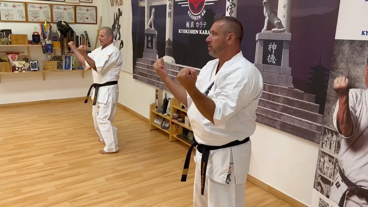 Seishin Dojo 十五 (15.) szülinapi ünneplés 🎂🥂