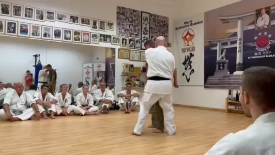 Seishin Dojo 十五 (15.) szülinapi ünneplés 🎂🥂