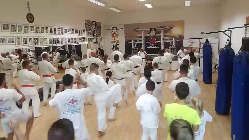Seishin Dojo 十五 (15.) szülinapi ünneplés 🎂🥂
