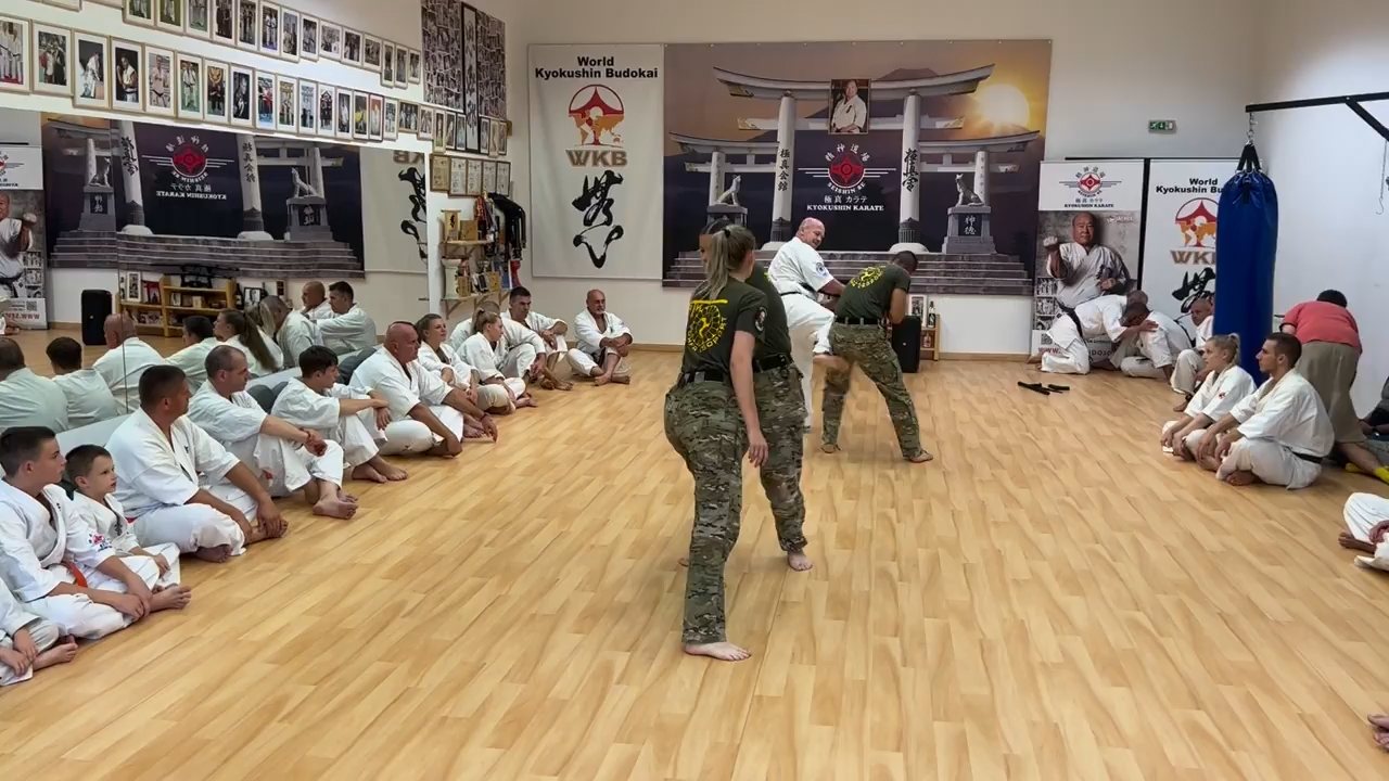 Seishin Dojo 十五 (15.) szülinapi ünneplés 🎂🥂