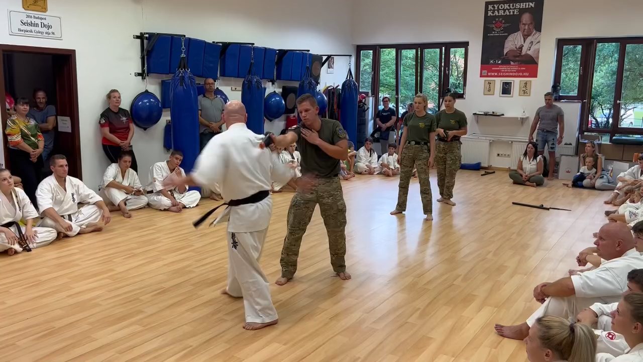 Seishin Dojo 十五 (15.) szülinapi ünneplés 🎂🥂