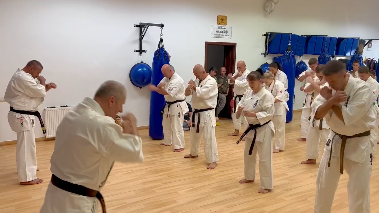 Seishin Dojo 十五 (15.) szülinapi ünneplés 🎂🥂
