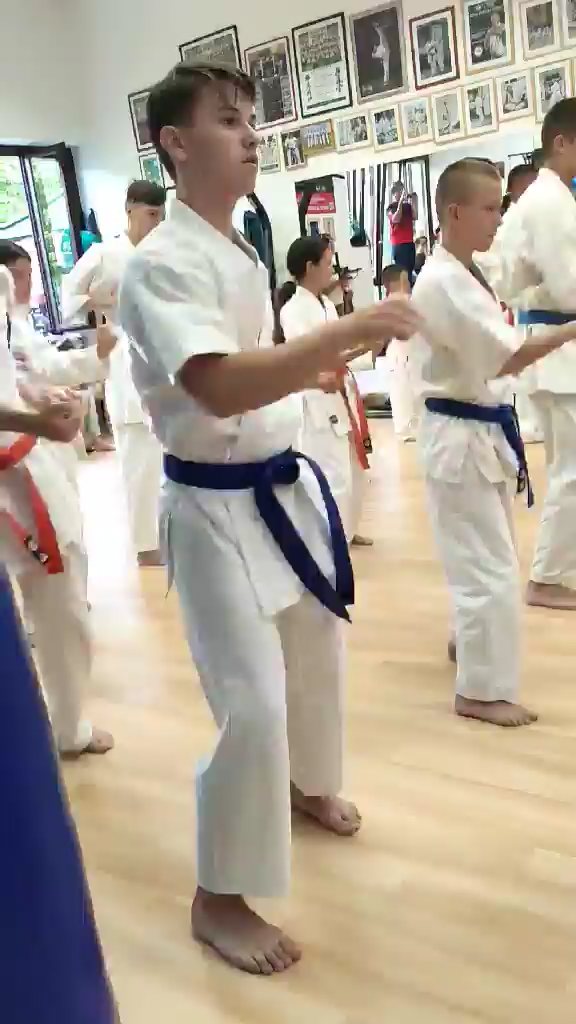 Seishin Dojo 十五 (15.) szülinapi ünneplés 🎂🥂