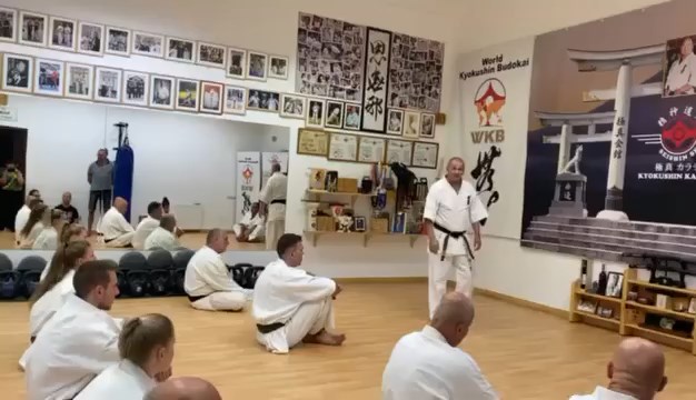 Seishin Dojo 十五 (15.) szülinapi ünneplés 🎂🥂