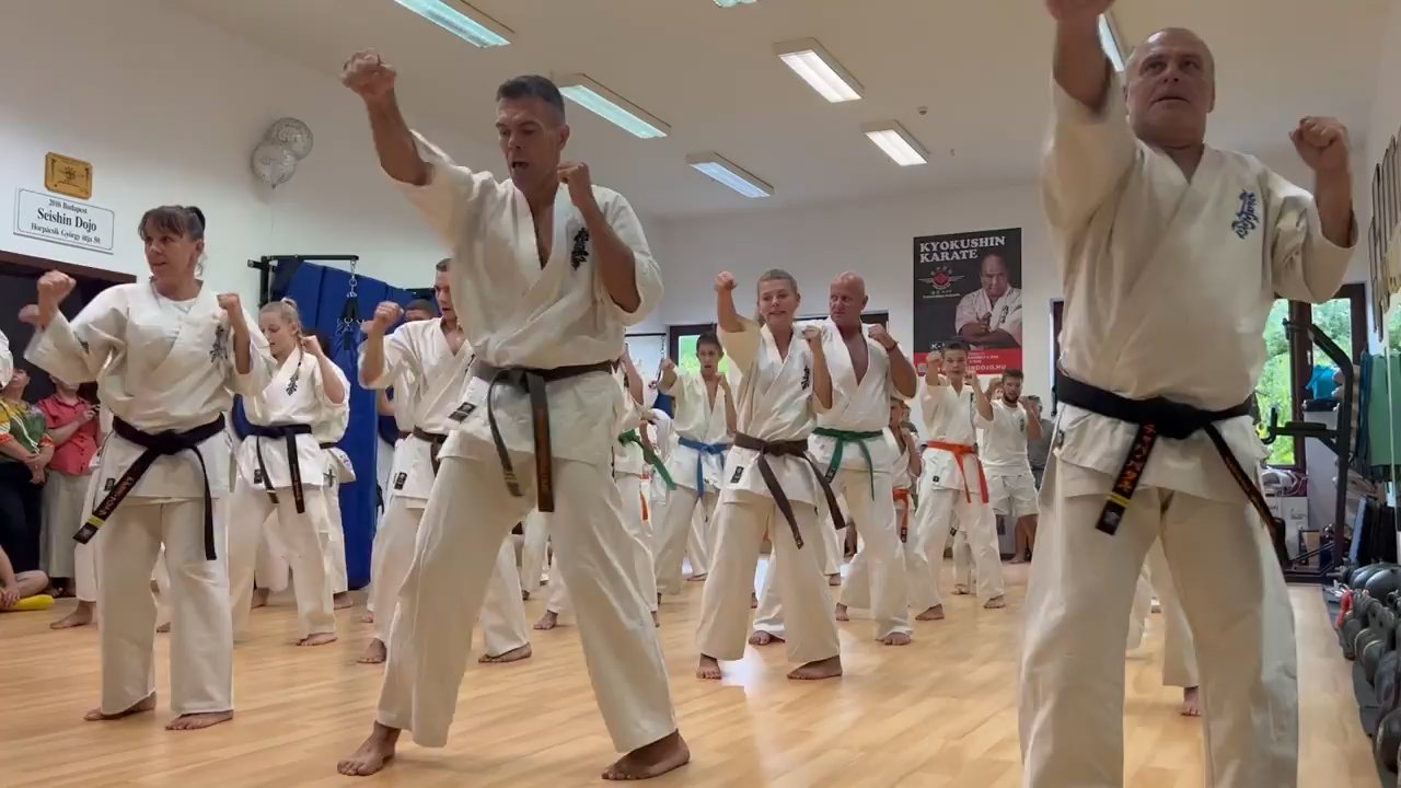 Seishin Dojo 十五 (15.) szülinapi ünneplés 🎂🥂