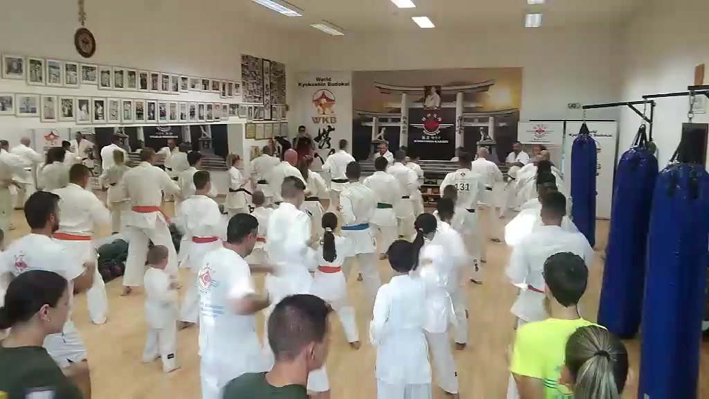 Seishin Dojo 十五 (15.) szülinapi ünneplés 🎂🥂