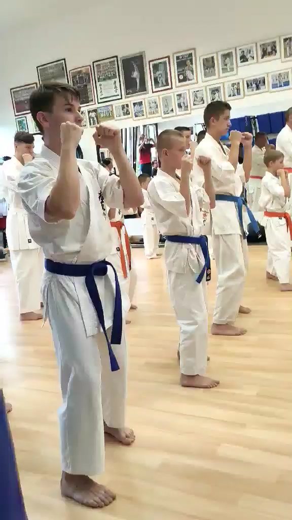 Seishin Dojo 十五 (15.) szülinapi ünneplés 🎂🥂