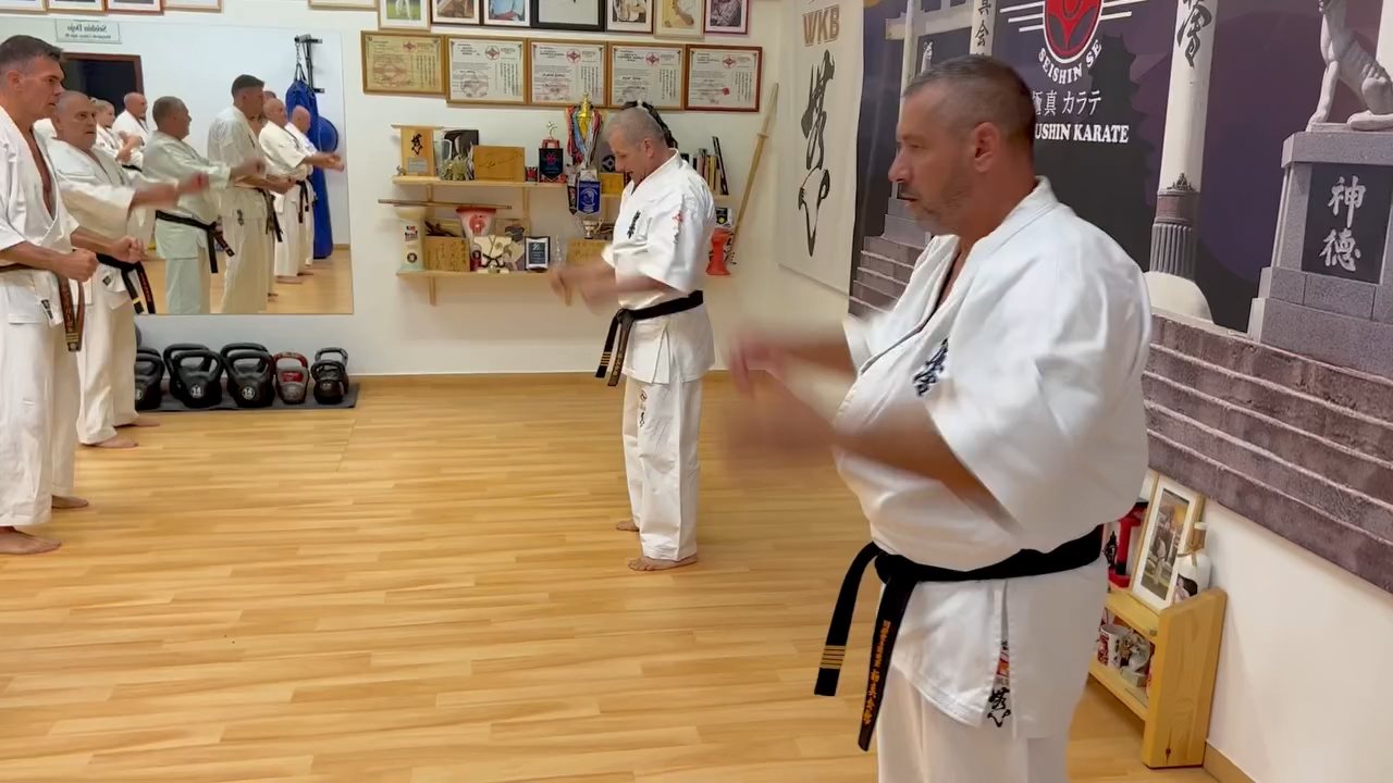 Seishin Dojo 十五 (15.) szülinapi ünneplés 🎂🥂