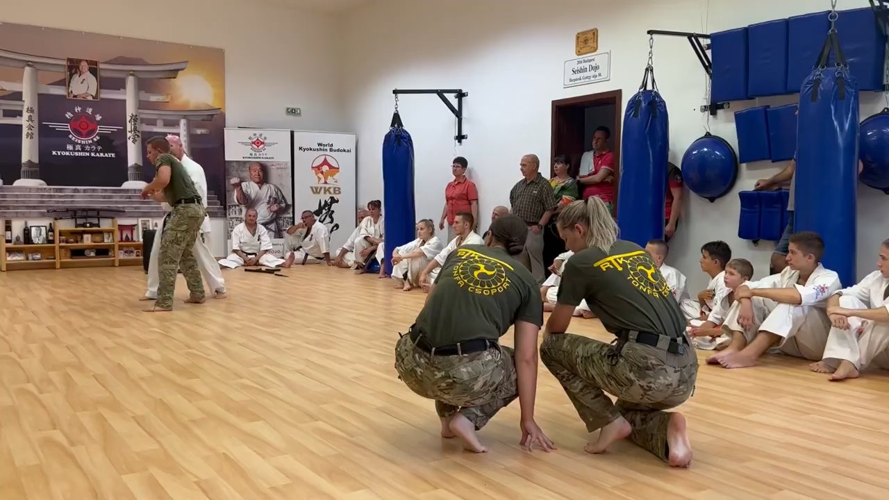 Seishin Dojo 十五 (15.) szülinapi ünneplés 🎂🥂