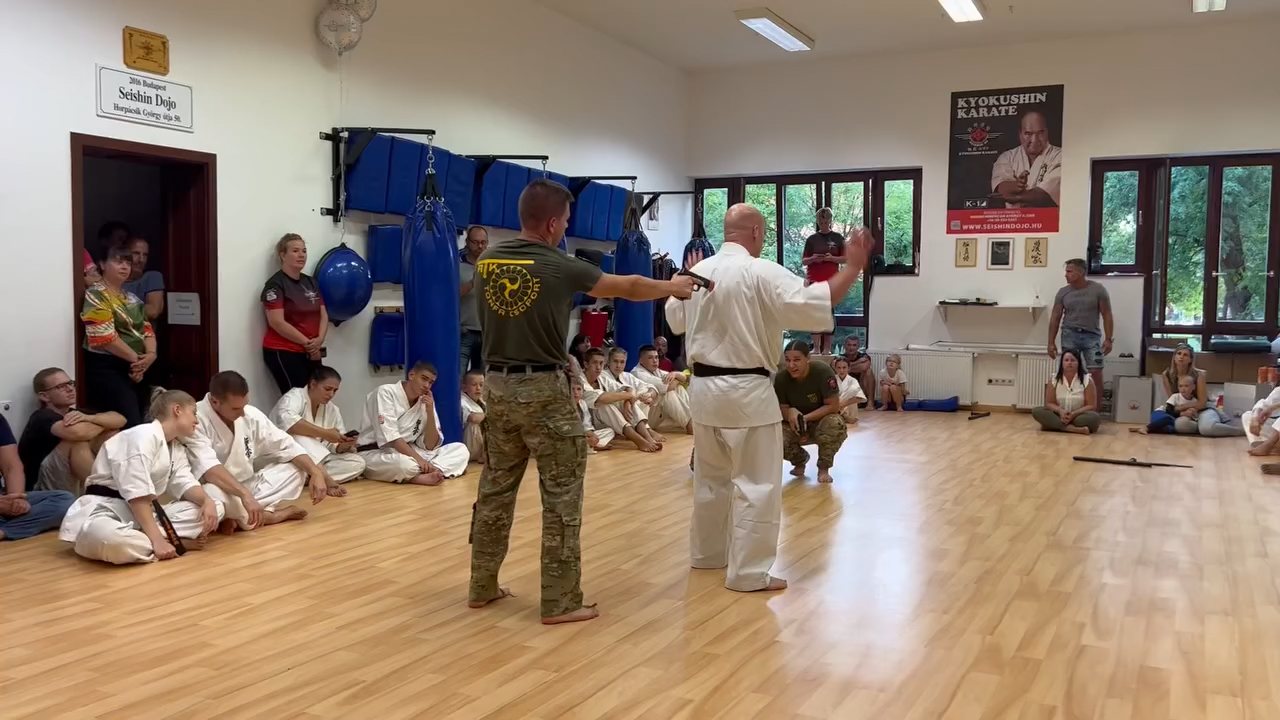 Seishin Dojo 十五 (15.) szülinapi ünneplés 🎂🥂