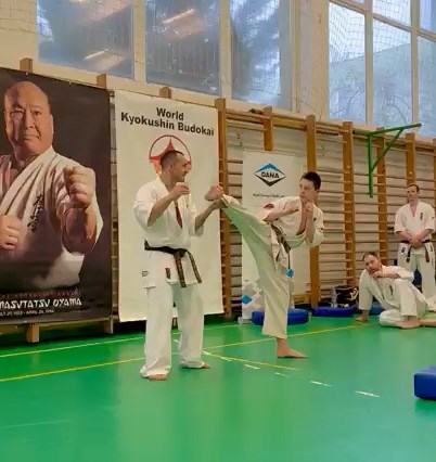 Szeminárium Sensei Rózsa Gáborral a Seishin Dójóban