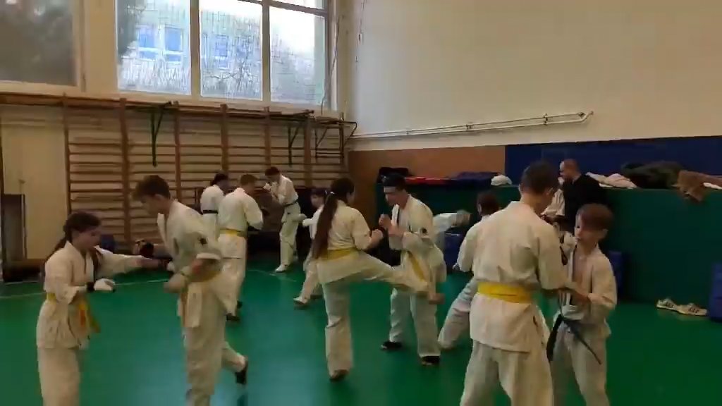 Szeminárium Sensei Rózsa Gáborral a Seishin Dójóban