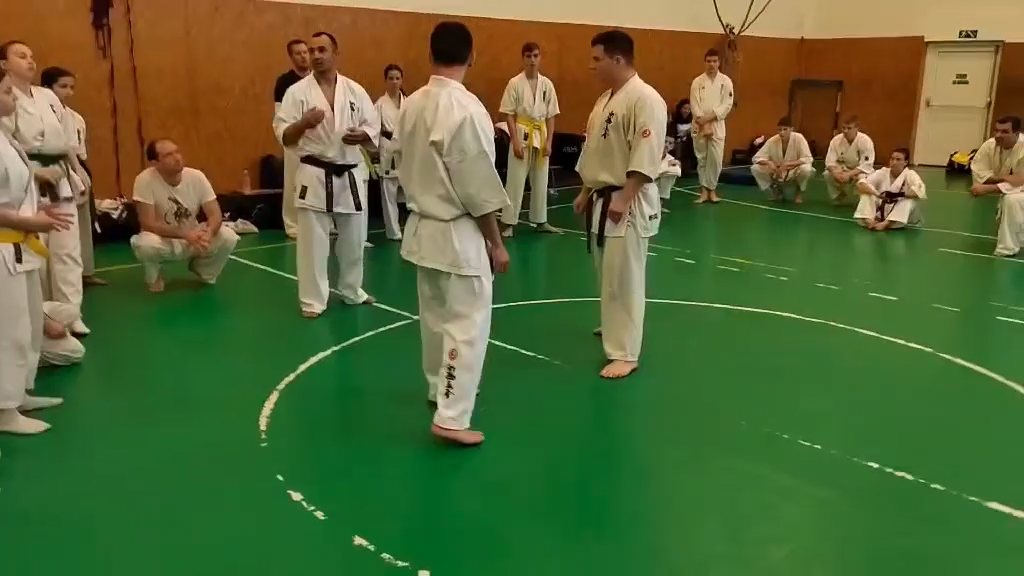 Szeminárium Sensei Rózsa Gáborral a Seishin Dójóban