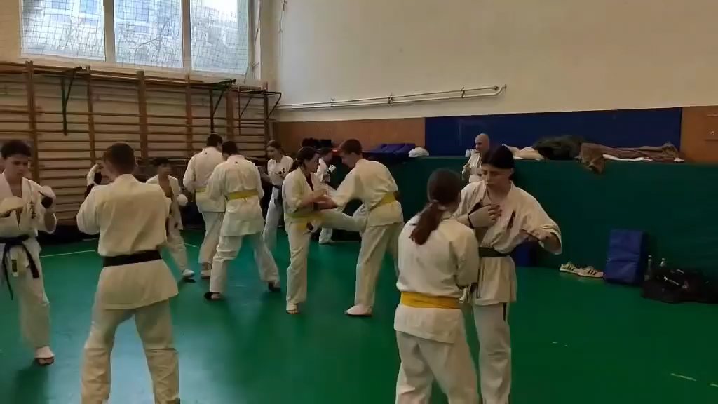 Szeminárium Sensei Rózsa Gáborral a Seishin Dójóban