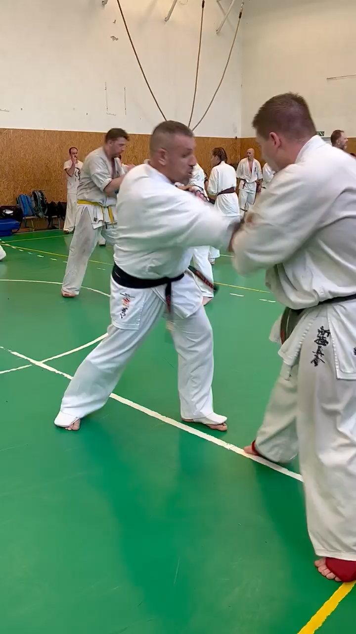 Szeminárium Sensei Rózsa Gáborral a Seishin Dójóban