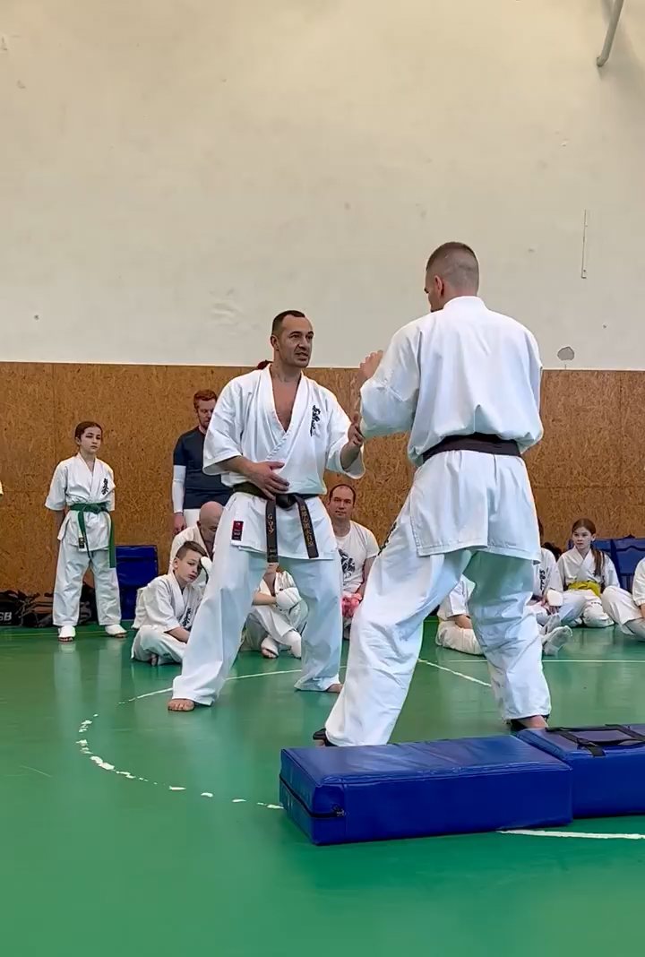 Szeminárium Sensei Rózsa Gáborral a Seishin Dójóban