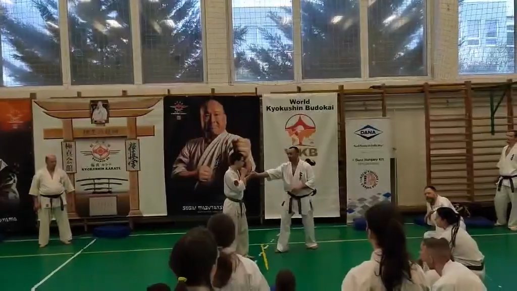 Szeminárium Sensei Rózsa Gáborral a Seishin Dójóban