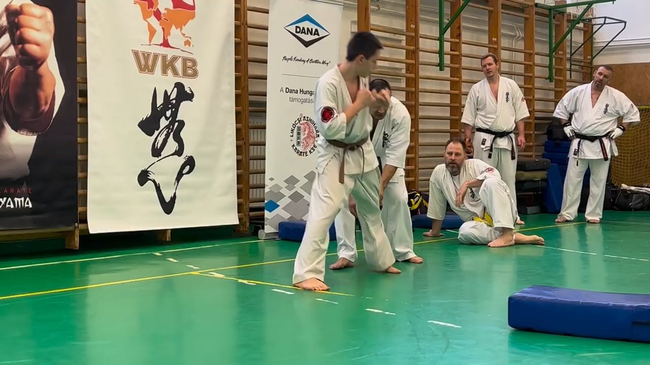 Szeminárium Sensei Rózsa Gáborral a Seishin Dójóban