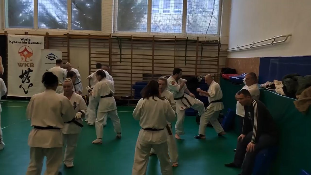 Szeminárium Sensei Rózsa Gáborral a Seishin Dójóban