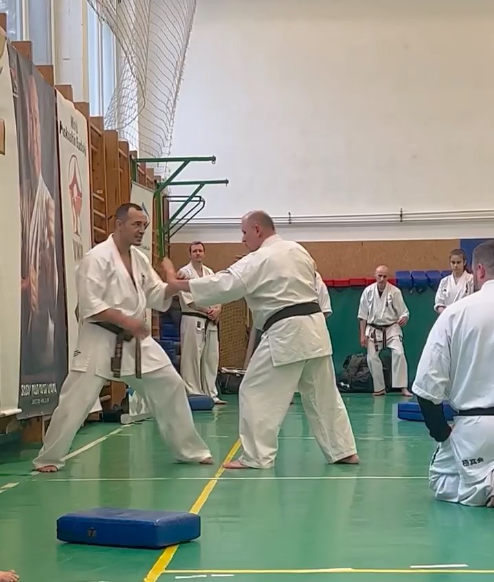 Szeminárium Sensei Rózsa Gáborral a Seishin Dójóban