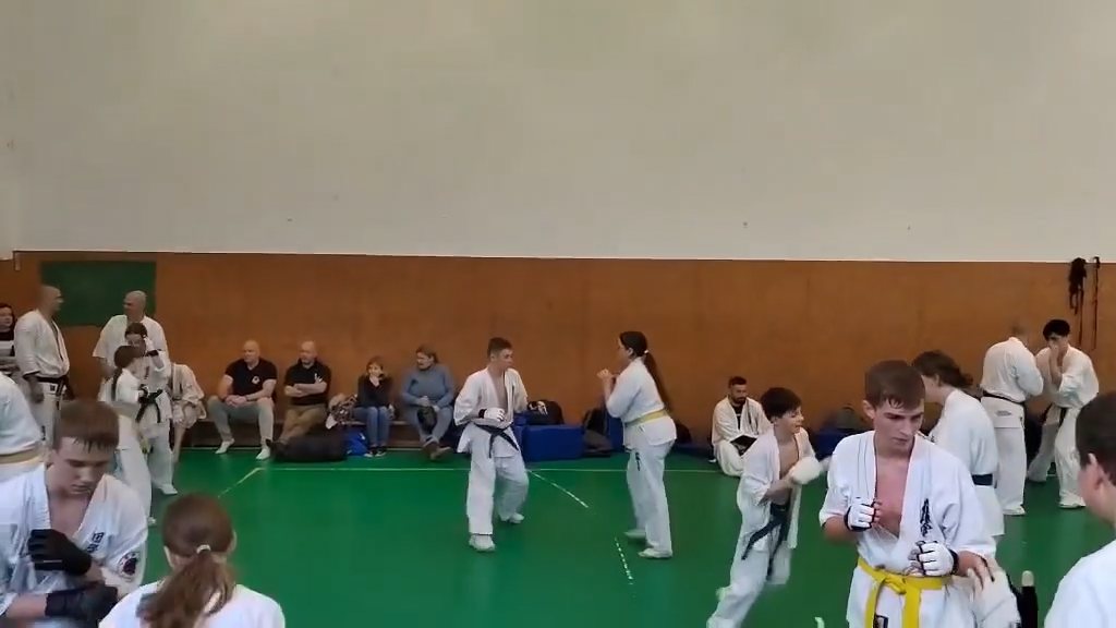 Szeminárium Sensei Rózsa Gáborral a Seishin Dójóban