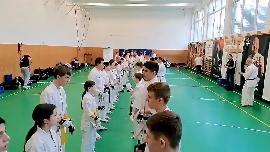 Szeminárium Sensei Rózsa Gáborral a Seishin Dójóban