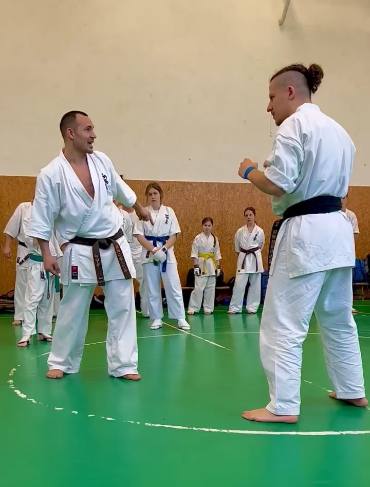 Szeminárium Sensei Rózsa Gáborral a Seishin Dójóban