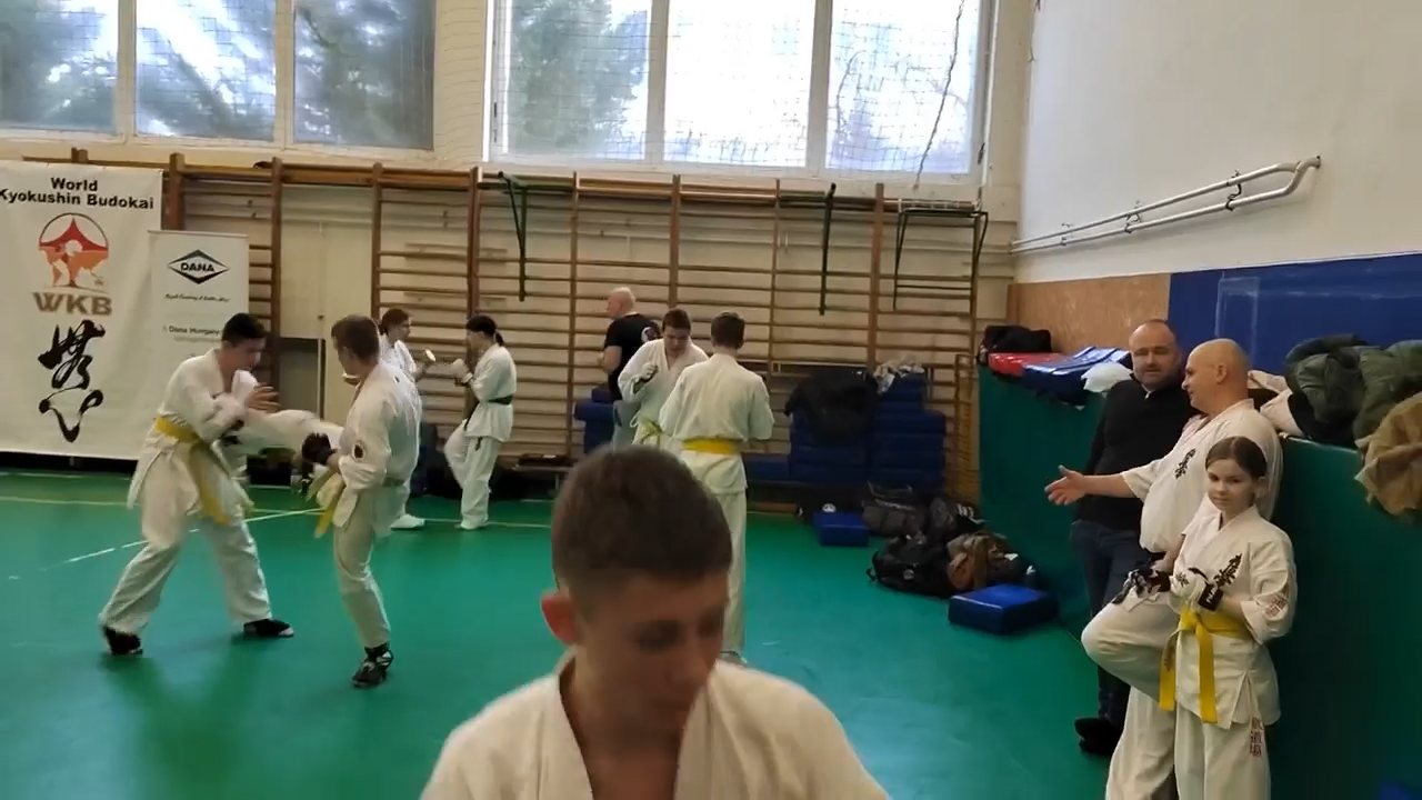 Szeminárium Sensei Rózsa Gáborral a Seishin Dójóban