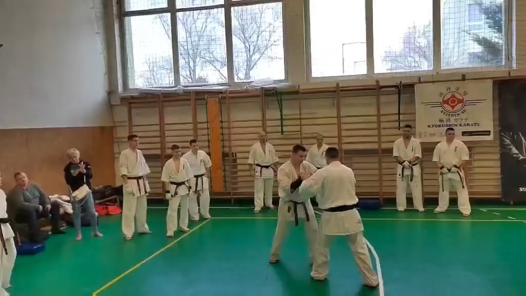 Szeminárium Sensei Rózsa Gáborral a Seishin Dójóban