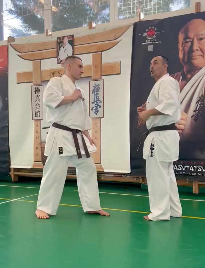 Szeminárium Sensei Rózsa Gáborral a Seishin Dójóban