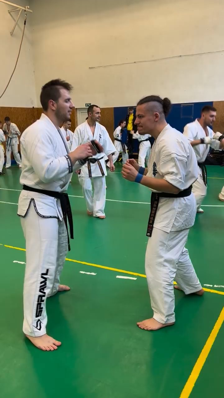 Szeminárium Sensei Rózsa Gáborral a Seishin Dójóban